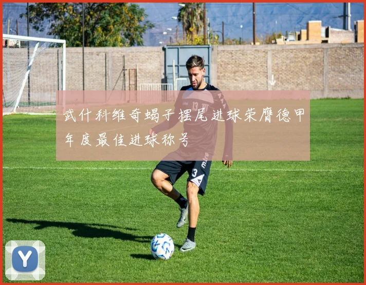 武什科维奇蝎子摆尾进球荣膺德甲年度最佳进球称号